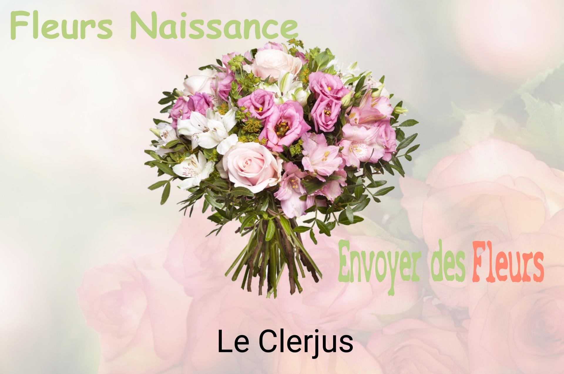 Bouquet de fleurs de naissance livré à Le Clerjus
